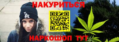 сатива Будённовск