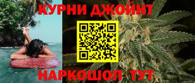 сатива Будённовск