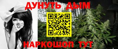 сатива Будённовск